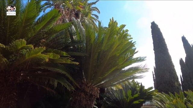 Jardin Botanique De La Villa Hanbury à Ventimiglia Italy