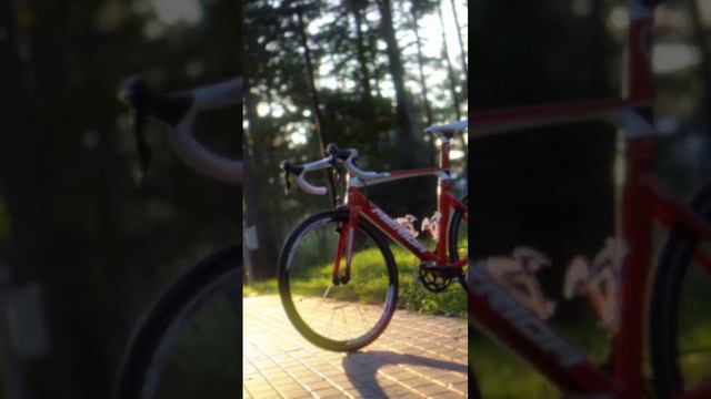 Merida смотреть онлайн