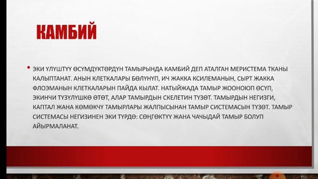 тамыр зоналары смотреть онлайн