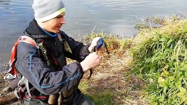Микроджиговый баттл против жены. Окуневая рыбалка на Исети. 11.10.2020г. смотреть онлайн
