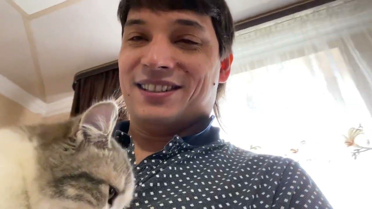 С первым днём весны и днём котиков и кошек смотреть онлайн