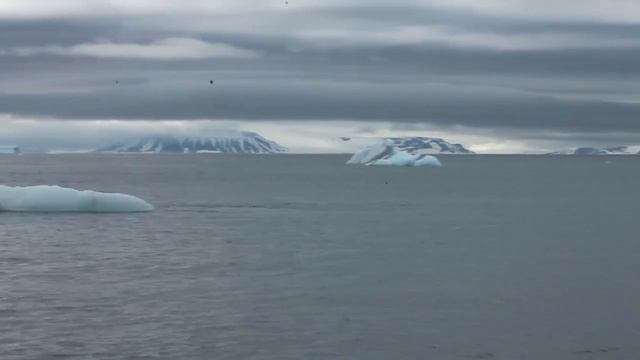 Научная экспедиция на НИС «Профессор Молчанов»