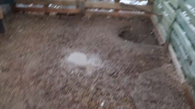 Чем кормим несушек зимой КУРЫ/КРОЛИКИ НУЖНЫЕ ОТХОДЫ В ХОЗЯЙСТВЕ Опилки смотреть онлайн