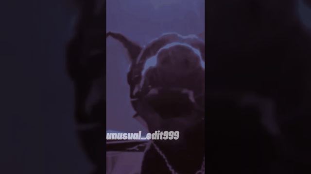 эдит (доберман) смотреть онлайн