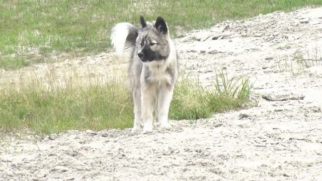 #ВКУРСЕСОБЫТИЙ 5 августа 2019 смотреть онлайн