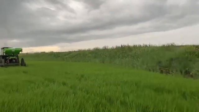 Рисовые колеса Мтз + прицеп смотреть онлайн