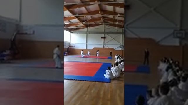 Чёрные пояса дерутся на соревнованиях смотреть онлайн