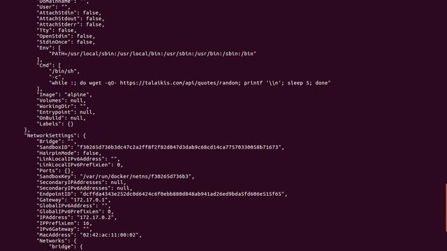 Docker Course:Lecture 6 Inspecting into container смотреть онлайн