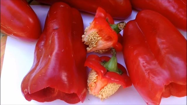 КАК СОБРАТЬ СЕМЕНА ПЕРЦА смотреть онлайн