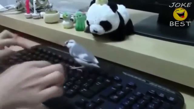 обоссаться смотреть онлайн