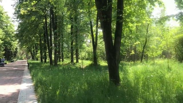 Ботанический сад Алматы, отличная прогулка! смотреть онлайн