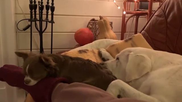 Баю бай)) смотреть онлайн