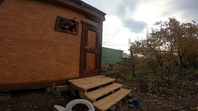 КУПИЛ ДОМ НА БОЛОТЕ В ДАЛИ ОТ ЦИВИЛИЗАЦИИ/ ЖИВУ С ЖИВОТНЫМИ смотреть онлайн