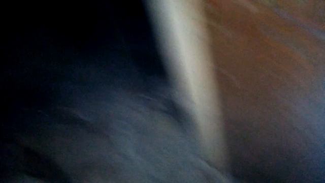 МЫ СНИМАЛИ ЭТИ ВИДОСА ТРИ РАЗА... смотреть онлайн