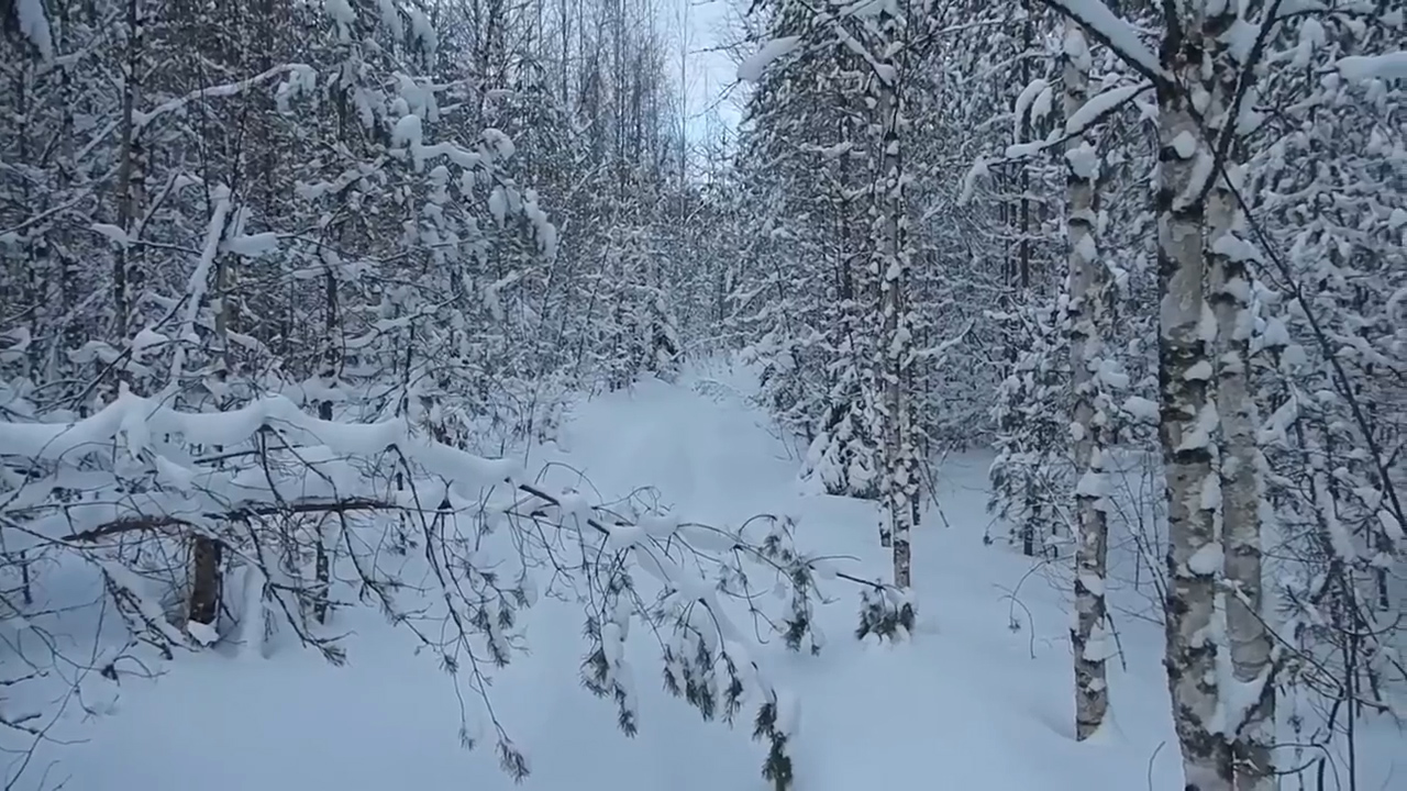 Больше никаких лыж.) смотреть онлайн