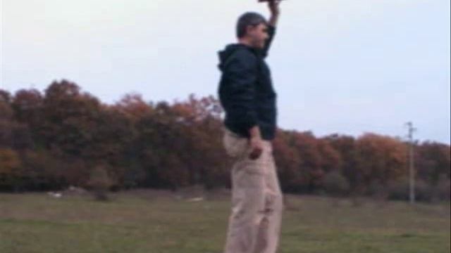 PULSE INDUCTION stinger 2 www.mdetectors.com смотреть онлайн