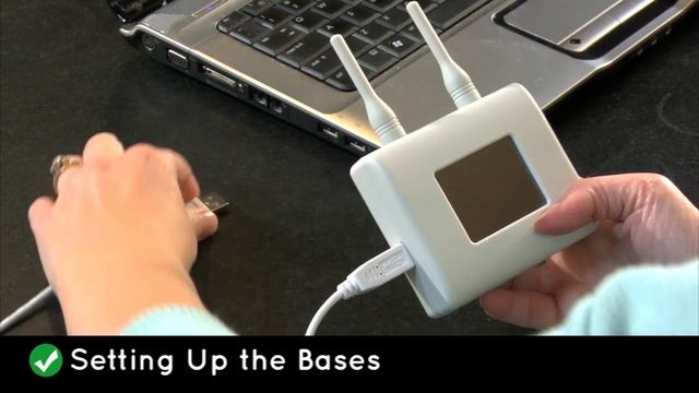 How to Set Up the Bases of Your Custom-Shape Wireless Dog Fence смотреть онлайн