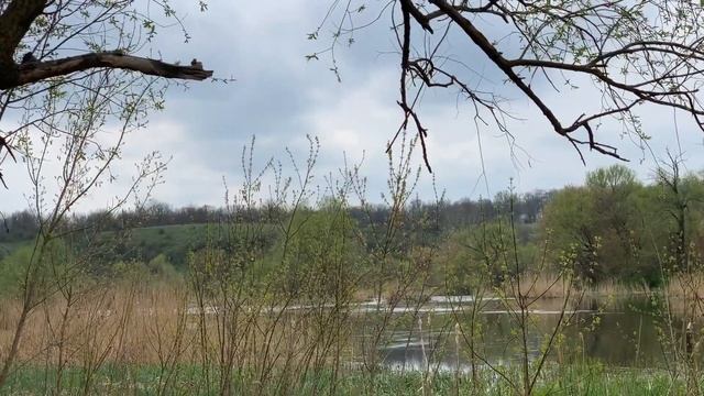 Сплав на Реке Южный Буг. Мигиевские пороги в Украине. Сплав на катамаране. смотреть онлайн