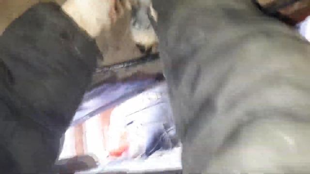 ЗАМЕНА ТОПЛИВНОГО ФИЛЬТРА АУДИ 80 смотреть онлайн