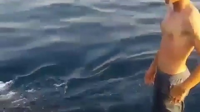 мужчина прокатился на ките смотреть онлайн