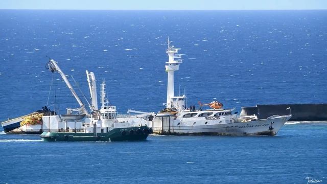September 26, 2020 : Tuna Purse Seiner WESTERN PACIFIC Was Seen Entering Papeete Tahiti Harbor