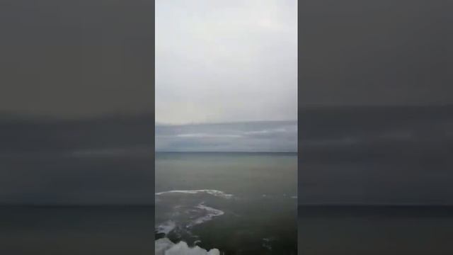 Добрый день гуляем смотреть онлайн