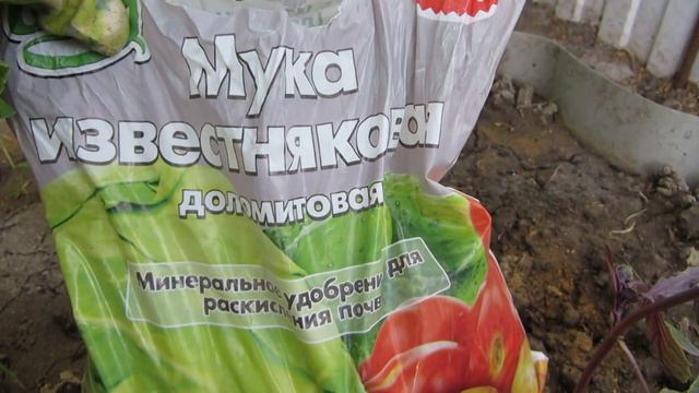 ПЕРВЫЙ УРОЖАЙ. смотреть онлайн