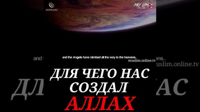 Аллах создал нас для того...
