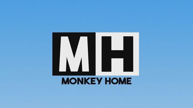 Почему мы одеваем обезьян. (Домашние макаки) смотреть онлайн