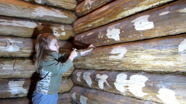 Как конопатить баню As caulk bath смотреть онлайн