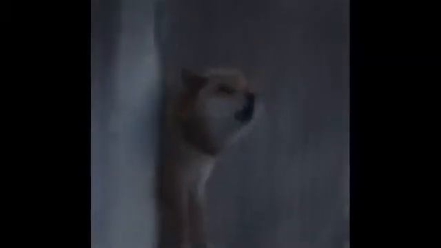 Оу май гад смотреть онлайн