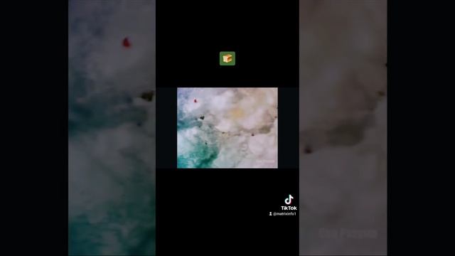 Хлеб под микроскопом смотреть онлайн