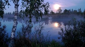 Andy Williams - «Moon River»