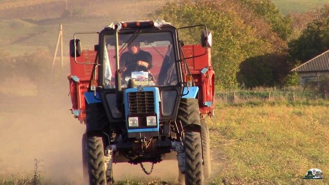 Один Мтз 82.1 измелчает палки подсолнечника а другой Мтз 82.1 вывозит семечку с поля смотреть онлайн