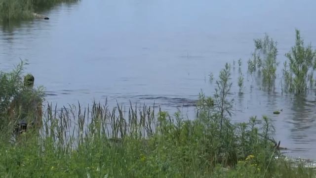 Нефтеюганск  Песня про Нефтеюганск