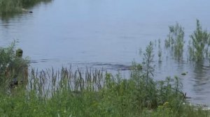 Нефтеюганск  Песня про Нефтеюганск