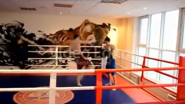 кандидат Горинский Стас смотреть онлайн