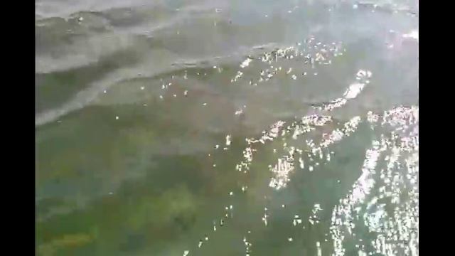 Отдых (карьер Зугрэс) смотреть онлайн