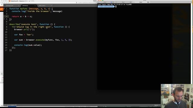 A look at the browser.execute command - WebdriverIO Wednesdays смотреть онлайн
