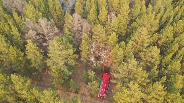 Пожары в Забайкальском крае