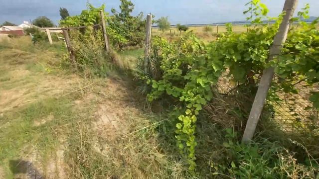 Дом в Крыму до 2 млн. руб. в сентябре 2022 года | Подбор дома в КРЫМУ смотреть онлайн