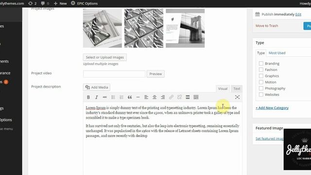Epic WordPress Theme Instruction - Work Slider Post смотреть онлайн