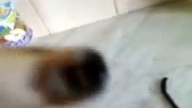 Вкусные истории