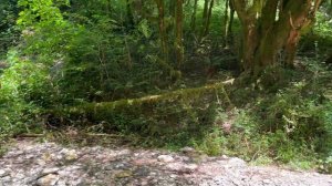 Бюджетно на Чёрное море!350₽ 5 топ мест в Сочи.Головинка лучшее место. #сочи #отдыхнаморе #головинк