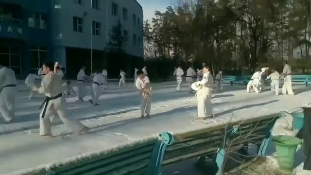 Зимняя школа 2020, Центрального Представительства (Бранча) Киокушин-кан Украины смотреть онлайн
