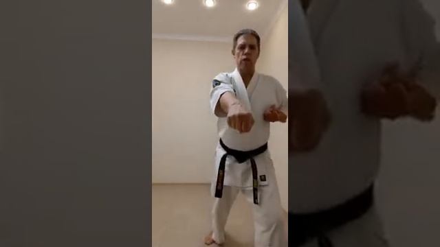 Кихон ката в перемещении на 1 шаг