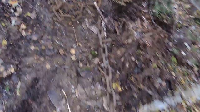 Металлокоп На Развалинах Пилорамы. Отличный Коп Металла И Очень Тяжелые Находки. Тонна За День. смотреть онлайн