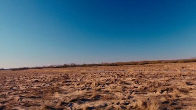 Там где живёт Лисица ? смотреть онлайн