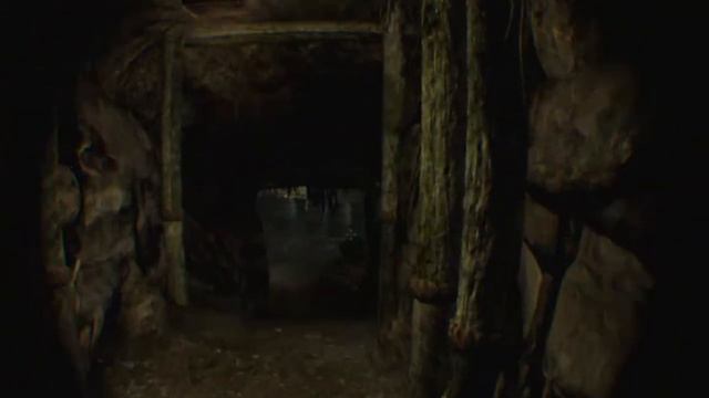 Skyrim VR Gameplay #11 SHIELD BROTHER?