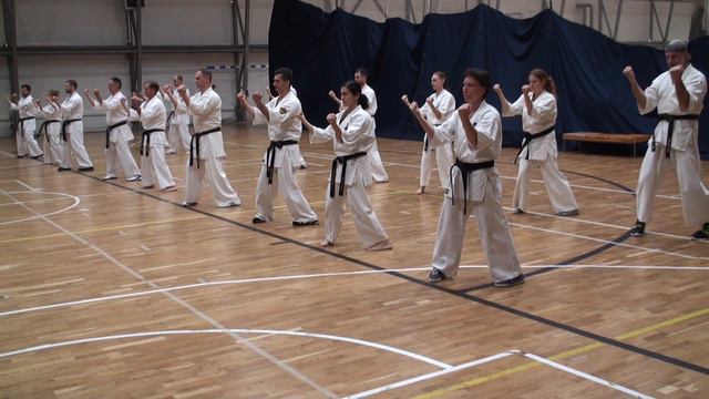 COORDINATION OF CENTERS OF POWER: THE WAVE PRINCIPLE